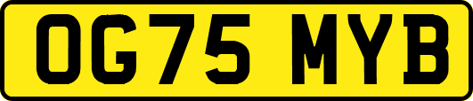 OG75MYB