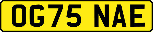 OG75NAE
