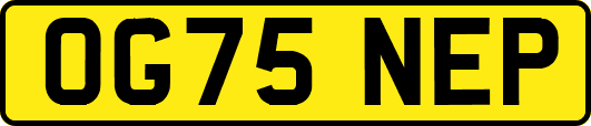 OG75NEP