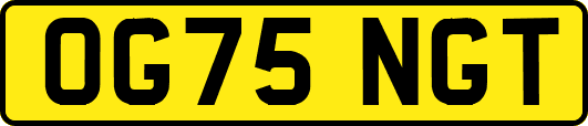 OG75NGT
