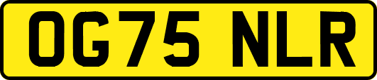 OG75NLR