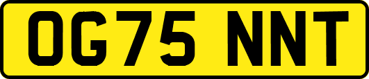 OG75NNT