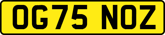 OG75NOZ