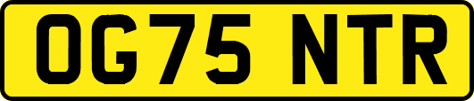 OG75NTR