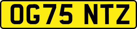 OG75NTZ