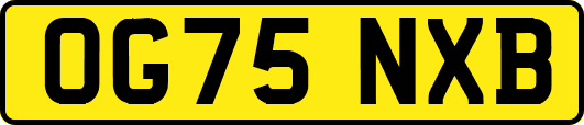 OG75NXB
