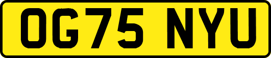 OG75NYU