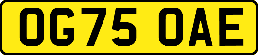 OG75OAE