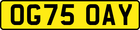 OG75OAY