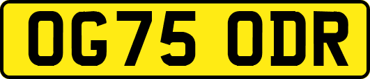 OG75ODR