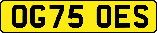 OG75OES