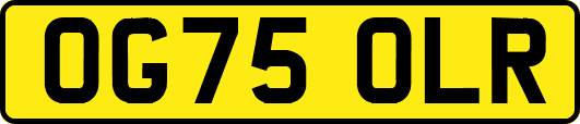 OG75OLR