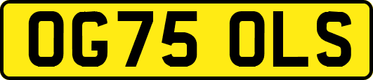 OG75OLS