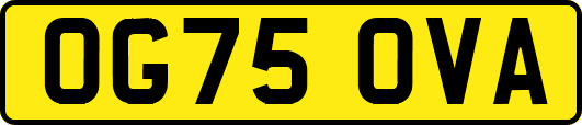 OG75OVA