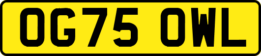 OG75OWL