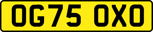 OG75OXO