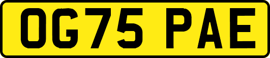 OG75PAE