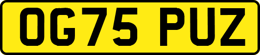 OG75PUZ