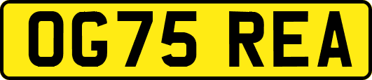 OG75REA