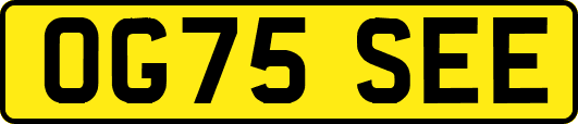 OG75SEE