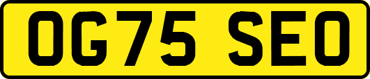 OG75SEO