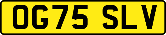 OG75SLV