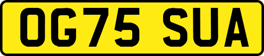OG75SUA