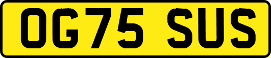 OG75SUS
