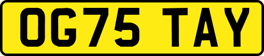 OG75TAY