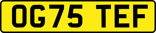 OG75TEF