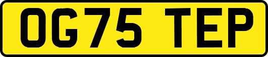 OG75TEP