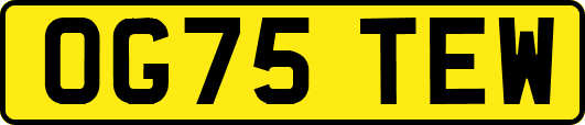 OG75TEW