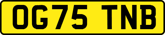 OG75TNB