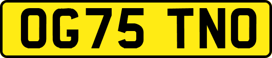 OG75TNO