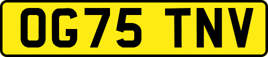 OG75TNV