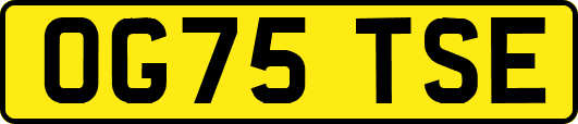 OG75TSE