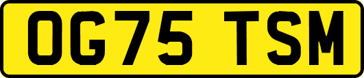 OG75TSM