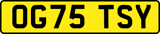 OG75TSY