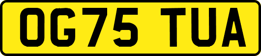 OG75TUA