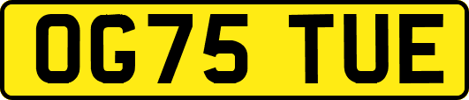 OG75TUE