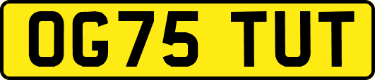 OG75TUT