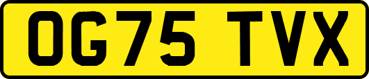 OG75TVX