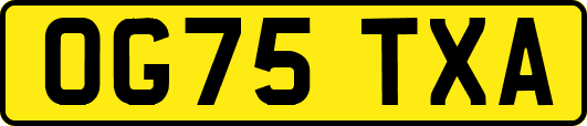 OG75TXA