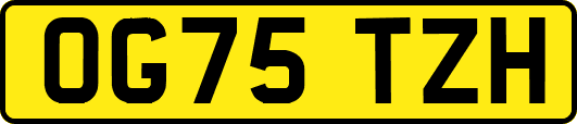 OG75TZH