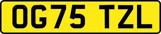 OG75TZL