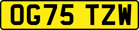 OG75TZW
