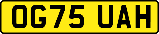 OG75UAH