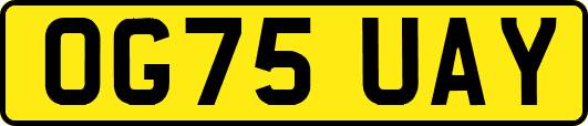 OG75UAY