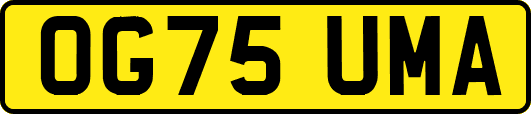 OG75UMA