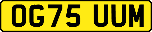 OG75UUM